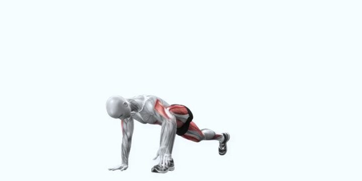 Form frame from the exercise library — lunge with rotation, working muscles highlighted